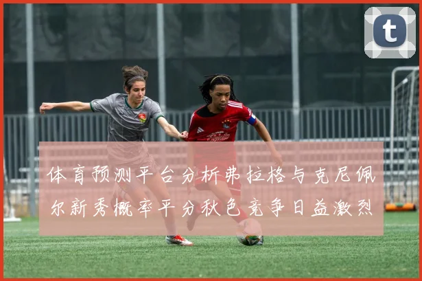 体育预测平台分析弗拉格与克尼佩尔新秀概率平分秋色竞争日益激烈