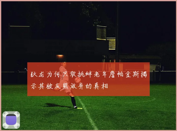 狄龙为何只敢挑衅老年詹帕金斯揭示其被灰熊放弃的真相