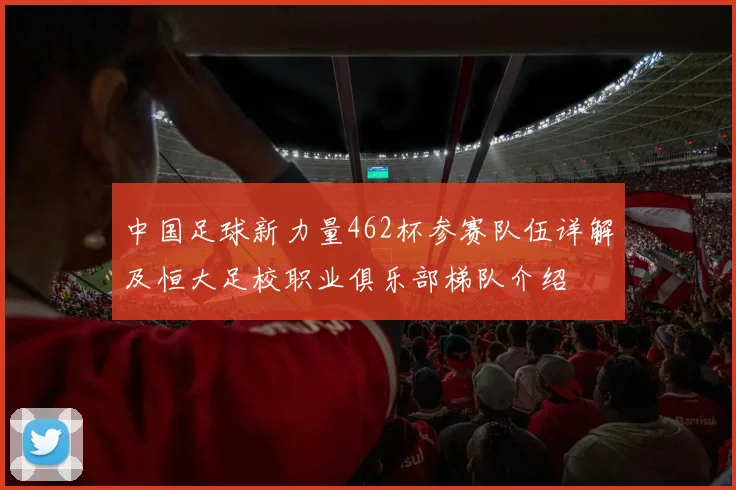 中国足球新力量462杯参赛队伍详解及恒大足校职业俱乐部梯队介绍
