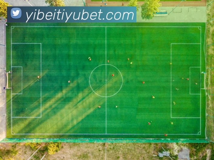 易倍体育APP 高清赛事图